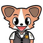 ソプラティコ,劇団飛行船